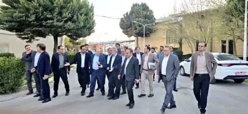 استاندار کهگیلویه و بویراحمد: فعالیت کارخانه آرد و نشاسته یاسوج در دستور کار است