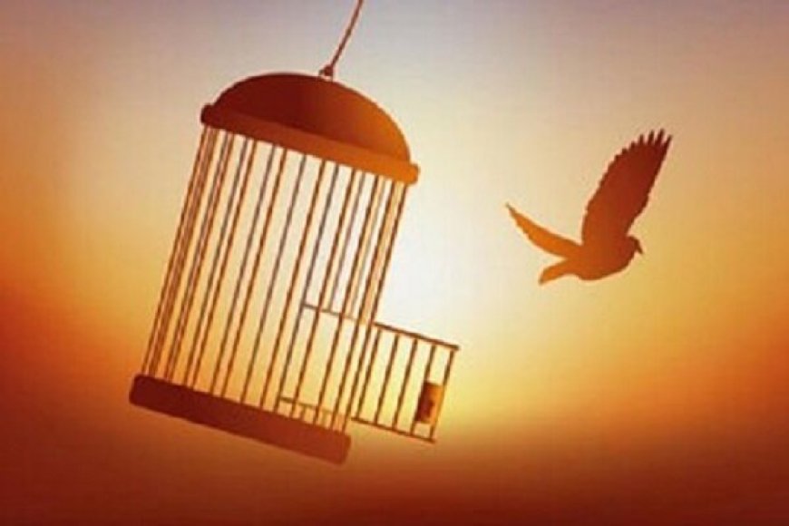 محکوم به قصاص پس از ۶ سال حبس آزاد شد