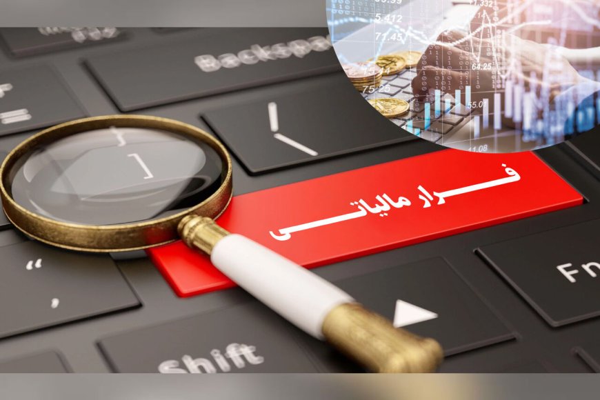 هفت هزار و ۸۰۰ میلیارد ریال فرار مالیاتی در صنعت گوشت فارس فاش شد