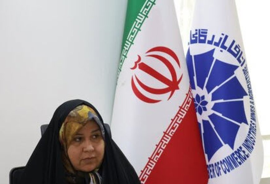 دلالان مانع از تغییر سطح عمومی قیمت ها با وجود ریزش ارزش دلار هستند