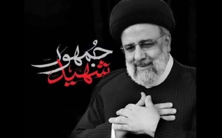 روایت استاندار سابق فارس از سبک مدیریتی شهید رئیسی
