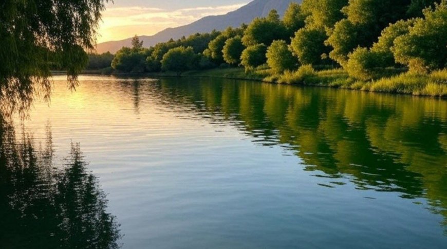 آرامش بی‌انتها در تالاب حله بوشهر  جایی که طبیعت با انعکاس آسمان در آب، جادو می‌کنه!
