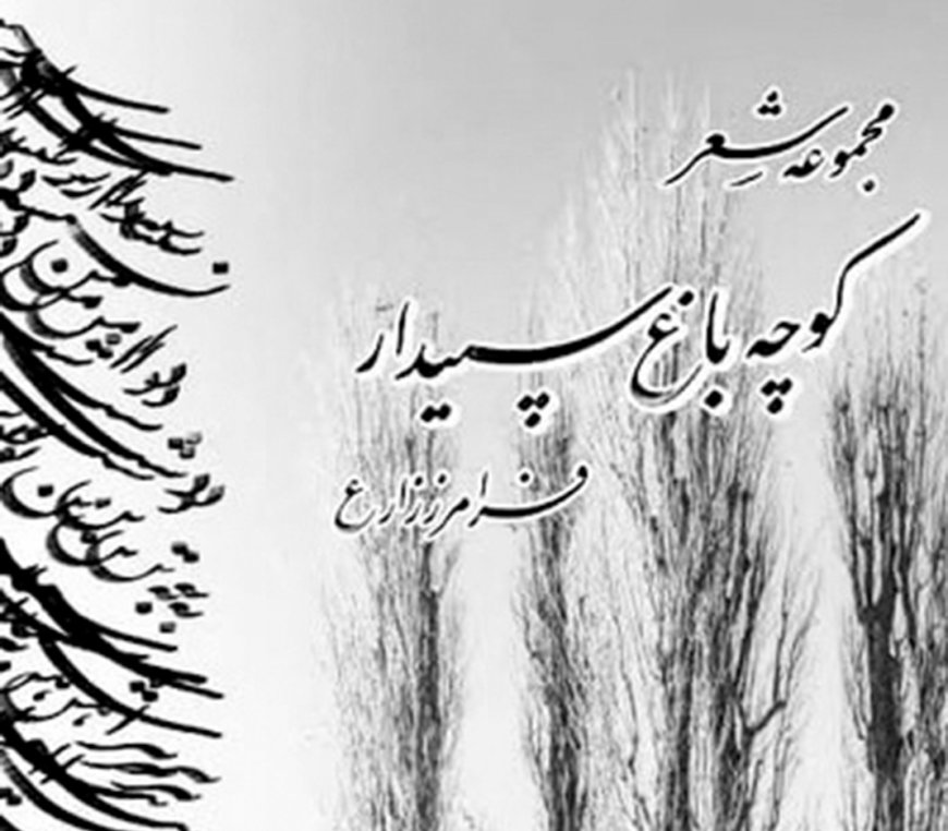 کوچه باغ سپیدار