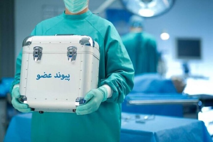 بیش از ۹۰ درصد موارد مرگ مغزی در کهگیلویه و بویراحمد، رضایت اهدای عضو دادند
