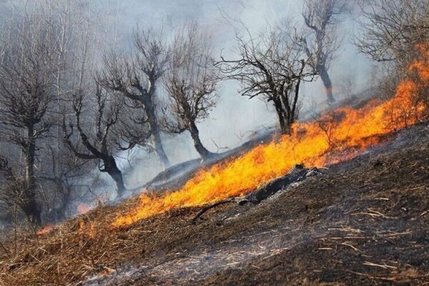 مهار آتش‌سوزی عرصه‌های طبیعی در پنج شهرستان خوزستان