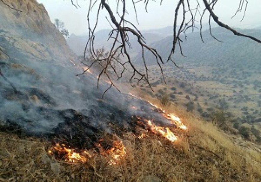 آتش «کوه شو» اندیکا خاموش شد