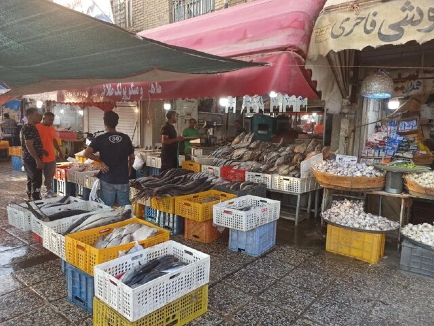 کدام اصناف باید از دروازه کازرون به بازار پروتئین منتقل شوند