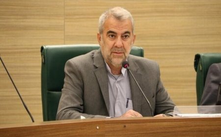 نائب رئیس شورای شهر: صهیونیست‌ها در توهم ضعف ایران بودند / مکانی به یاد شهید هسته‌ای شیراز نامگذاری شود