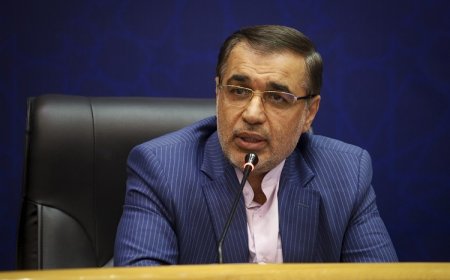 افزایش قیمت برنج تولید داخل استان فارس تخلف است، با متخلفان برخورد می شود