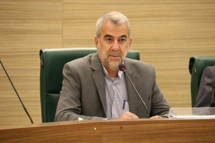 نائب رئیس شورای شهر: صهیونیست‌ها در توهم ضعف ایران بودند / مکانی به یاد شهید هسته‌ای شیراز نامگذاری شود