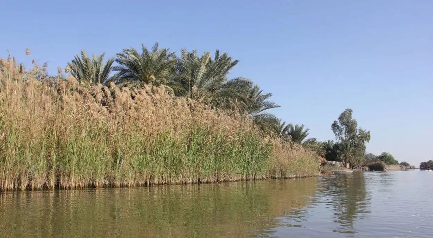هشدار فوری محیط زیست خوزستان برای رسیدگی به وضعیت تالاب شادگان