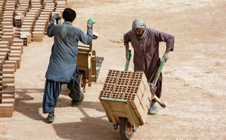 اخراج افغانستانی‌های غیرمجاز چقدر بر کسب و کارها تاثیر می‌گذارد؟