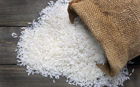 قیمت برنج در کهگیلویه و بویراحمد مشخص شد