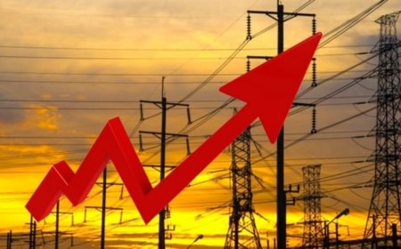 صنعت برق بوشهر ۲ هفته سخت را برای پایداری شبکه در پیش‌رو دارد