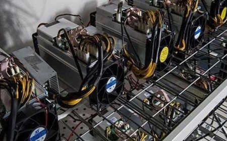 ماینرهای غیرمجاز، باری سنگین بر دوش صنعت برق فارس/جمع‌آوری ۲۰۰ دستگاه غیرمجاز استخراج رمزارز