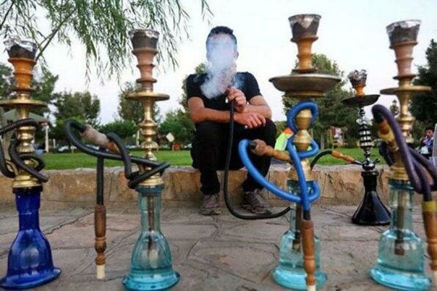 قلیان در پیک نیک!