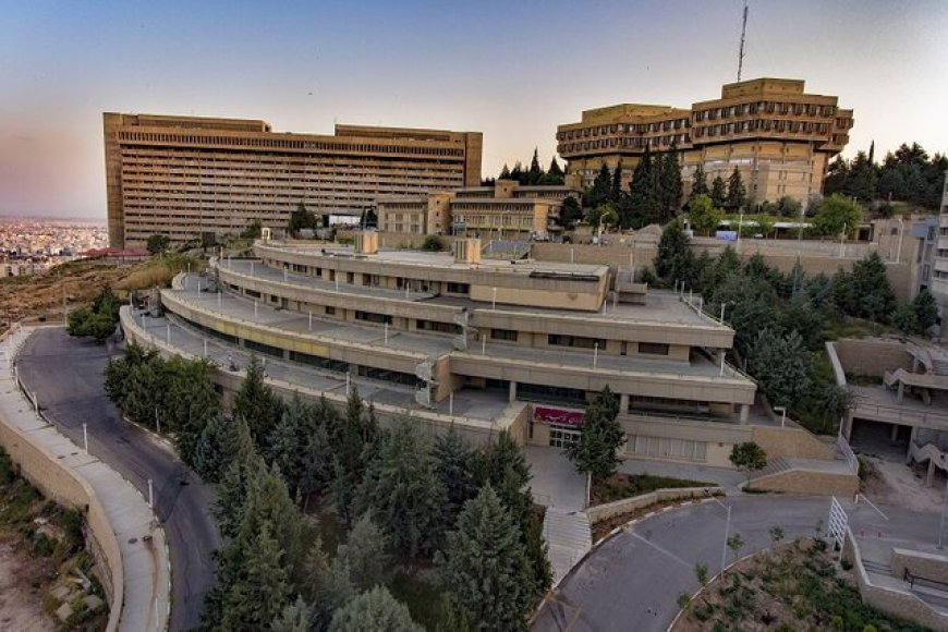 دانشگاه شیراز، سومین دانشگاه جامع برتر کشور در رتبه‌بندی