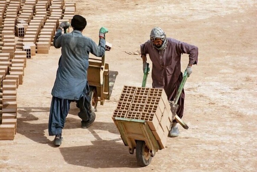 اخراج افغانستانی‌های غیرمجاز چقدر بر کسب و کارها تاثیر می‌گذارد؟