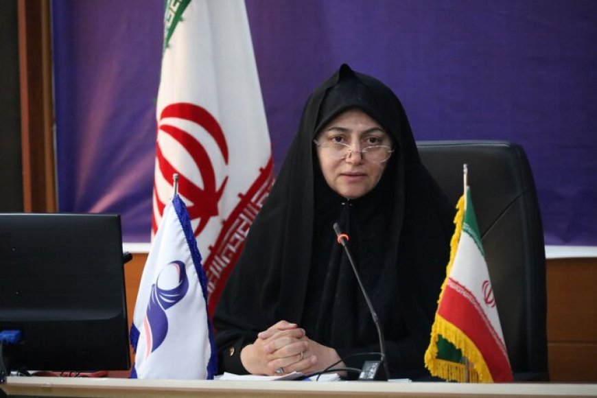 تدوین سند بررسی وضعیت زنان و خانواده فارس؛ مشاوران امور بانوان توانمند می‌شوند