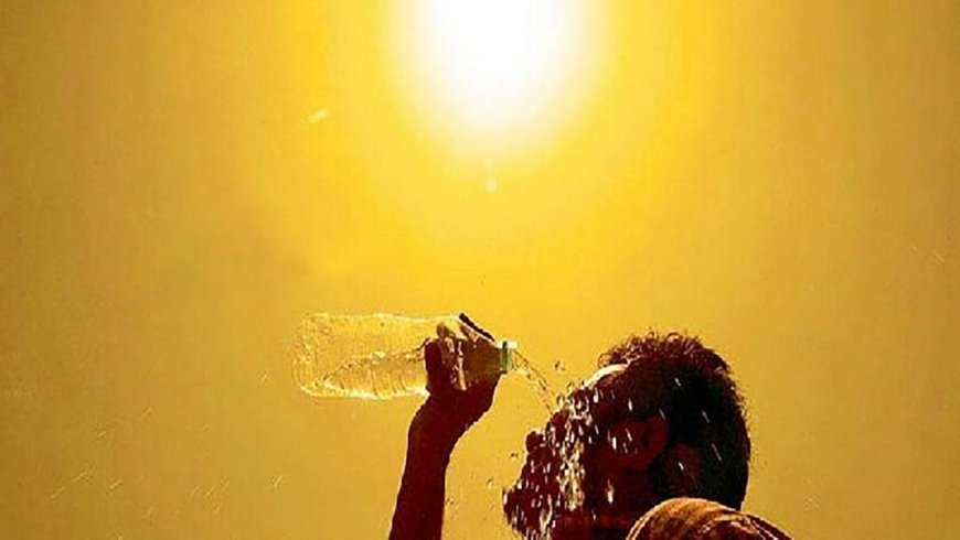 کنگان، سرزمینی که هوا دارد اما هواشناسی ندارد