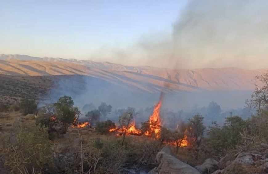 ارتفاعات روستای دشتک مرودشت همچنان در محاصره آتش
