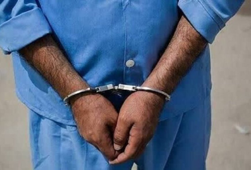 متخلفان شکار غیرمجاز در دشتستان دستگیر شدند