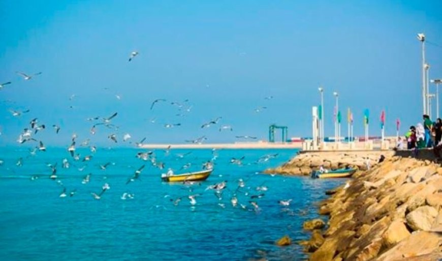 سواحل استان بوشهر تا فردا متلاطم است