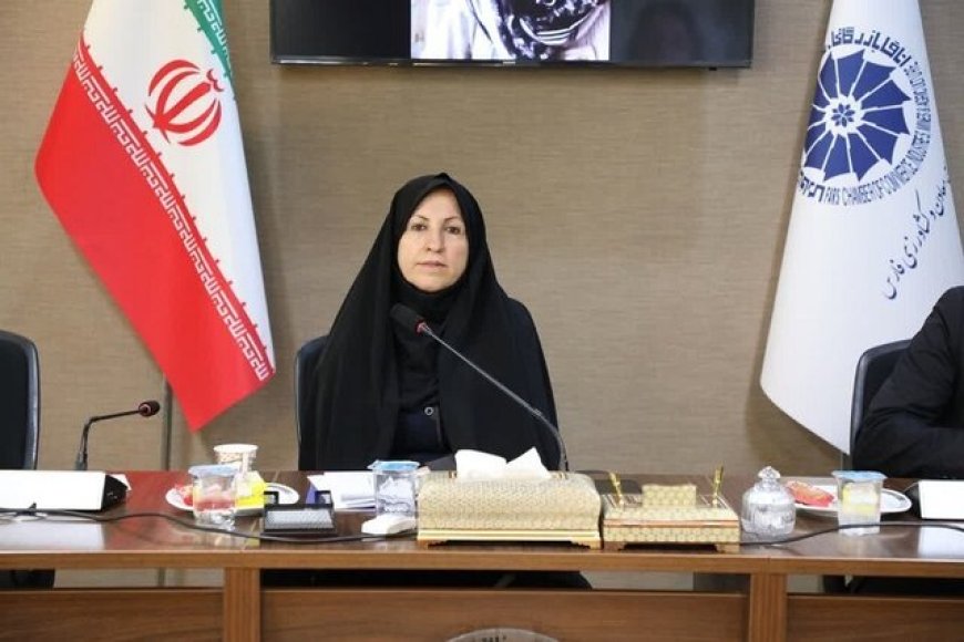 اجرای طرح «زنان کارآفرین مسئول» در فارس