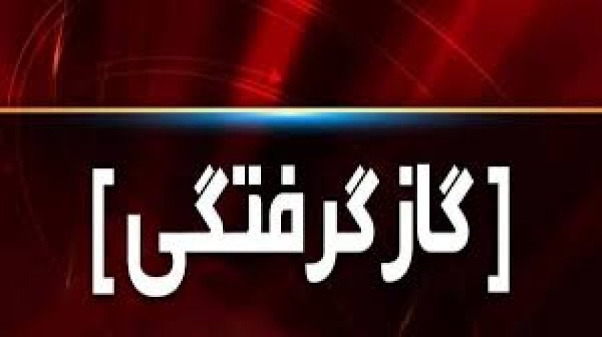 نجات چهار عضو یک خانواده از مسمومیت با مونوکسیدکربن در شیراز