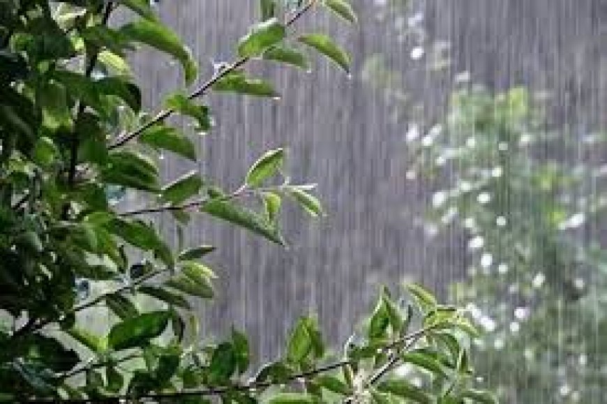 بارش رحمت الهی در  استان کهگیلویه وبویراحمد