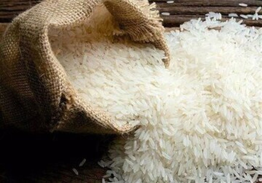 کاهش ۴۰ درصدی قیمت برنج در بازار امروز