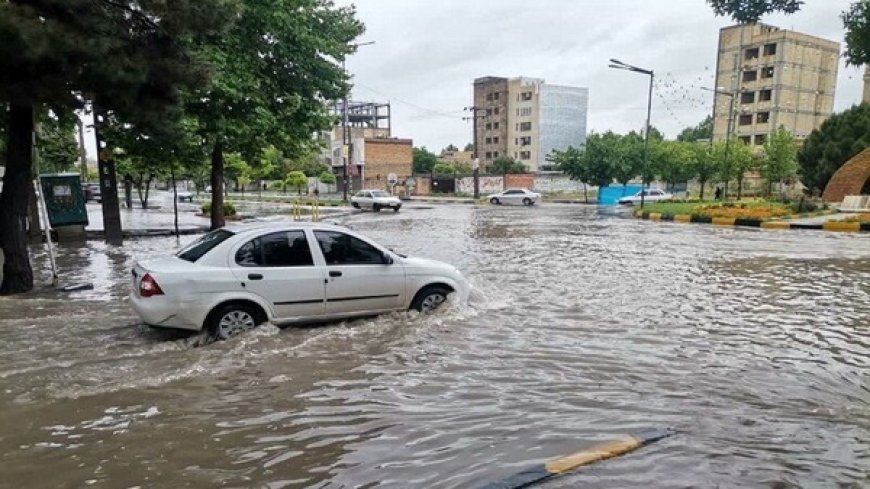 ورود سامانه بارشی به بوشهر از جمعه