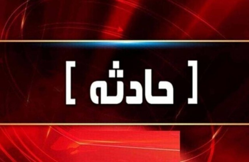 برخورد یک دستگاه اتوبوس مسافربری در محور مواصلاتی نی ریز / ۲۷ مصدوم و یک جان باخته