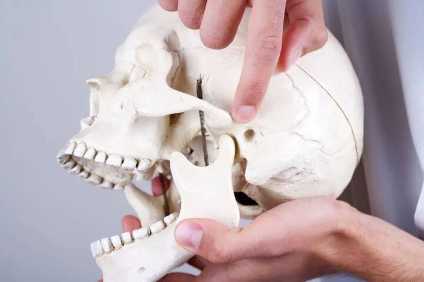 دردهای «فک» نشانه چیست؟