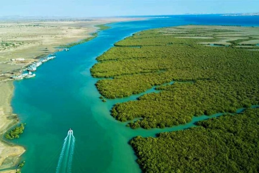 گونه‌های موزه تنوع زیستی پارک ملی نای‌بند پایش شدند