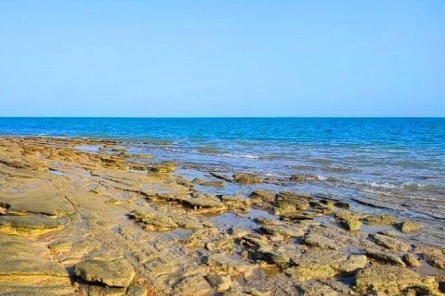 وضعیت جوی و دریایی استان بوشهر آرام است؛افزایش شرجی و رطوبت از جمعه