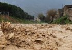 امدادرسانی هلال‌احمر به ۲۲ خانوار عشایری در دیشموک