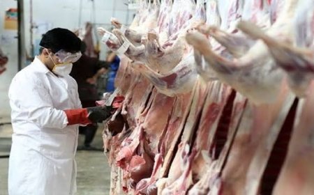 ۳۴.۵ تن فرآورده دامی در مواکب اربعین خوزستان بازرسی شد
