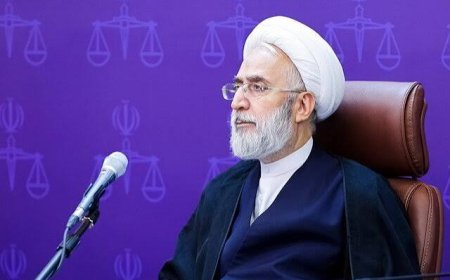 دادستان کل کشور: قرار نهایی پرونده مدرسه شجره طیبه میناب به زودی صادر می‌شود