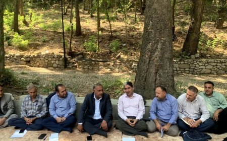 مشارکت ۱۰۷۱ نفر در طرح جنگلداری اجتماعی کهگیلویه و بویراحمد
