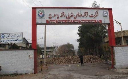 کارخانه قند یاسوج پس از ۹ سال به مدار تولید بازگشت