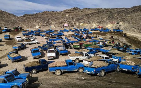 توقیف ۷۱ خودروی شوتی و کشف ۱۵ هزار لیتر سوخت در رودان
