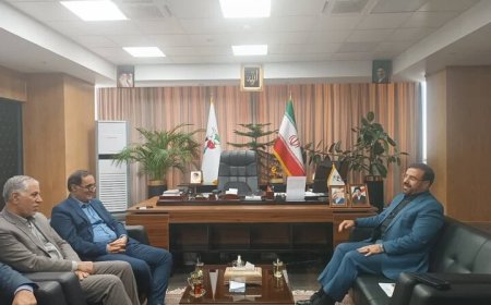 قول بنیاد شهید برای تعیین تکلیف پرونده مجروحان جنگ در فارس