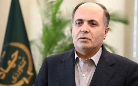 وزیر جهاد کشاورزی وارد بندرعباس شد