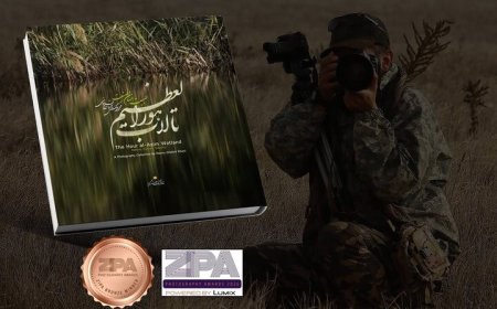 کتاب عکس هورالعظیم در جوایز بین‌المللی زیپا ۲۰۲۶ برنز گرفت