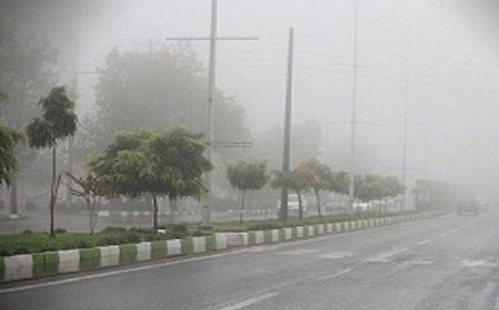 شرجی ۱۰۰ درصدی در سواحل بوشهر؛ گرمای ۵۰ درجه‌ای ادامه دارد