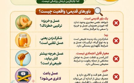 روز جهانی عسل| رازهای پنهان عسل از فواید واقعی تا باورهای اشتباه