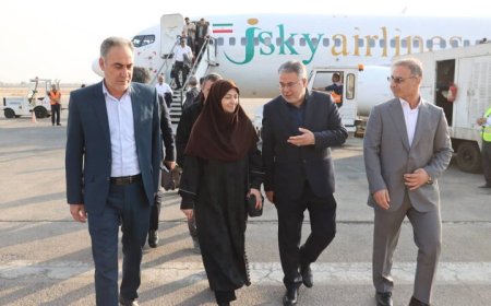 رئیس سازمان حفاظت محیط‌زیست وارد خوزستان شد