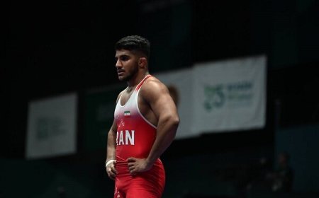 فرخی؛ فرنگی کار شیرازی در جمع مسافران ناگویا