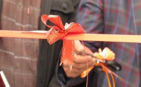 نخستین طرح تولید کرم نرئیس کشور در دلوار به بهره‌برداری رسید